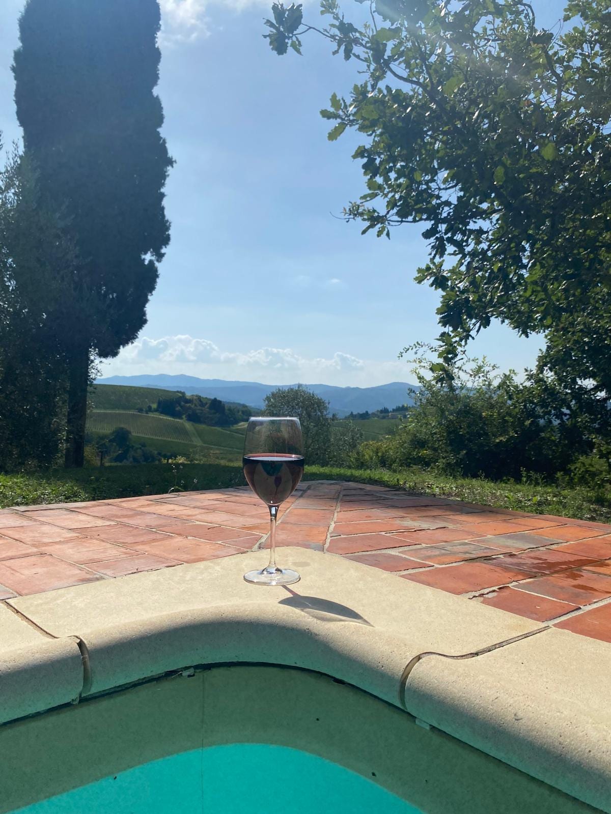 Pool overlooking the vineyard!