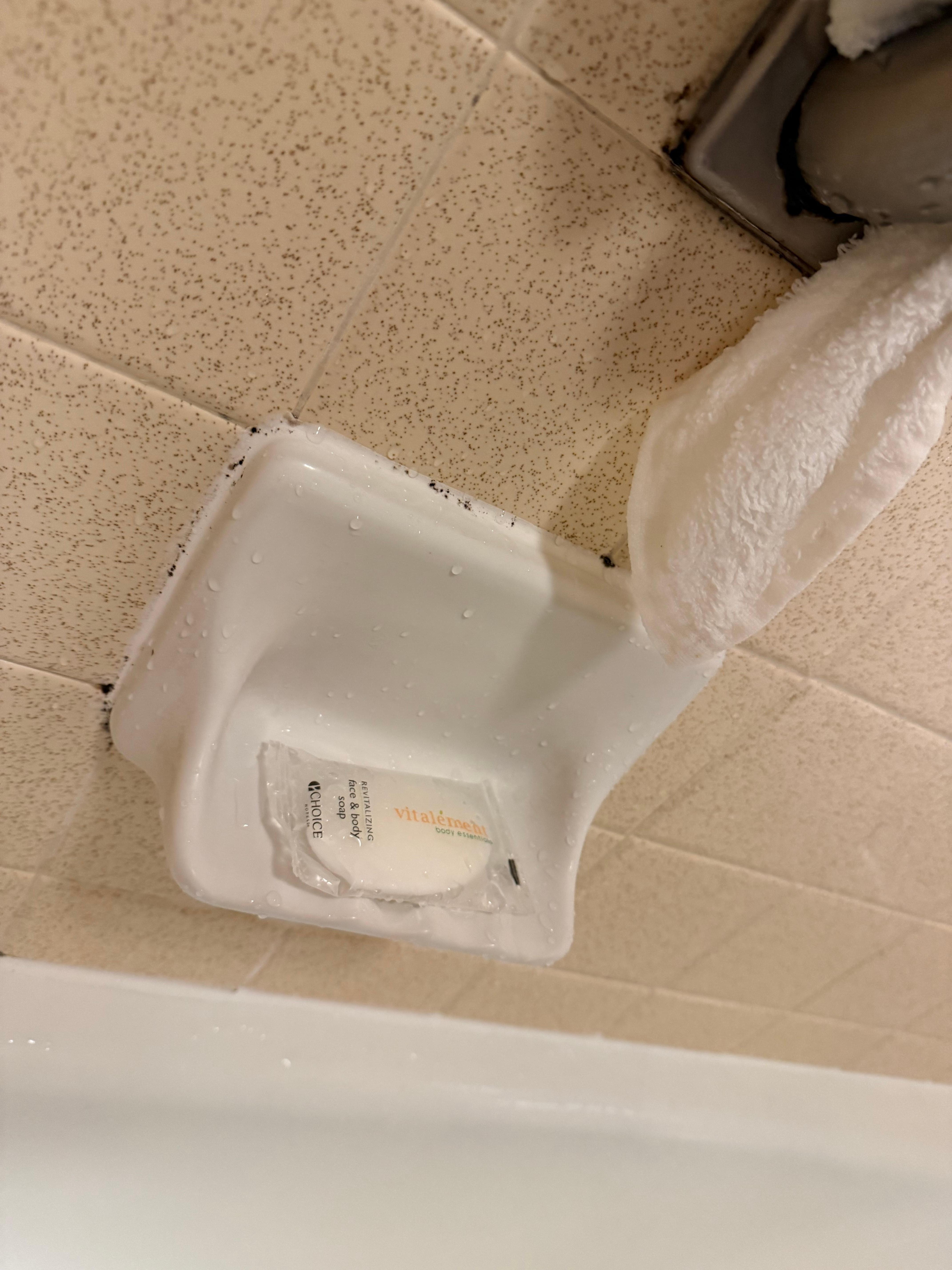 Nasty mold in shower. 