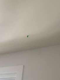 Painters tape left on ceiling