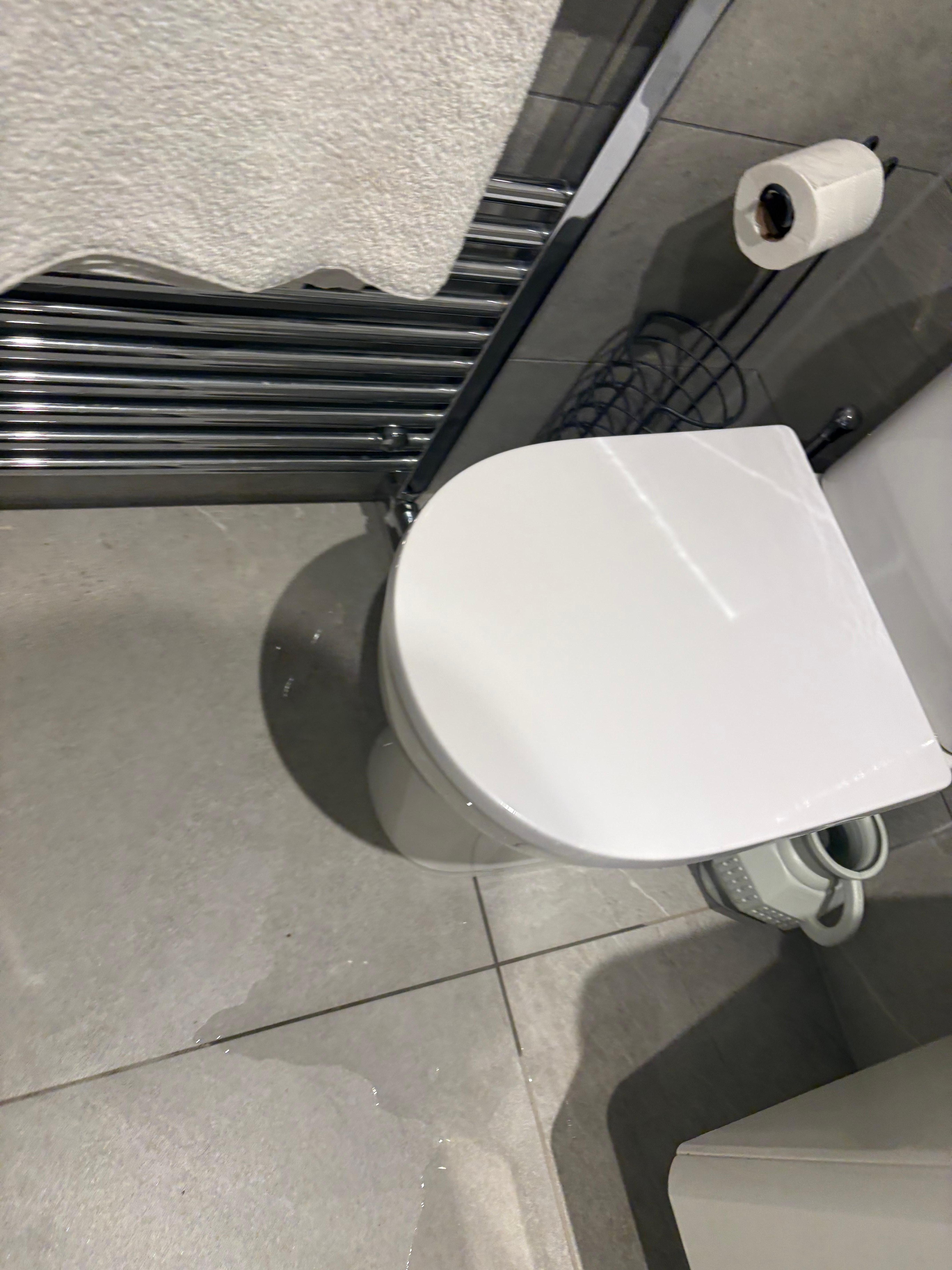 Toilet leak 
We had to buy our own toilet roll as well. 