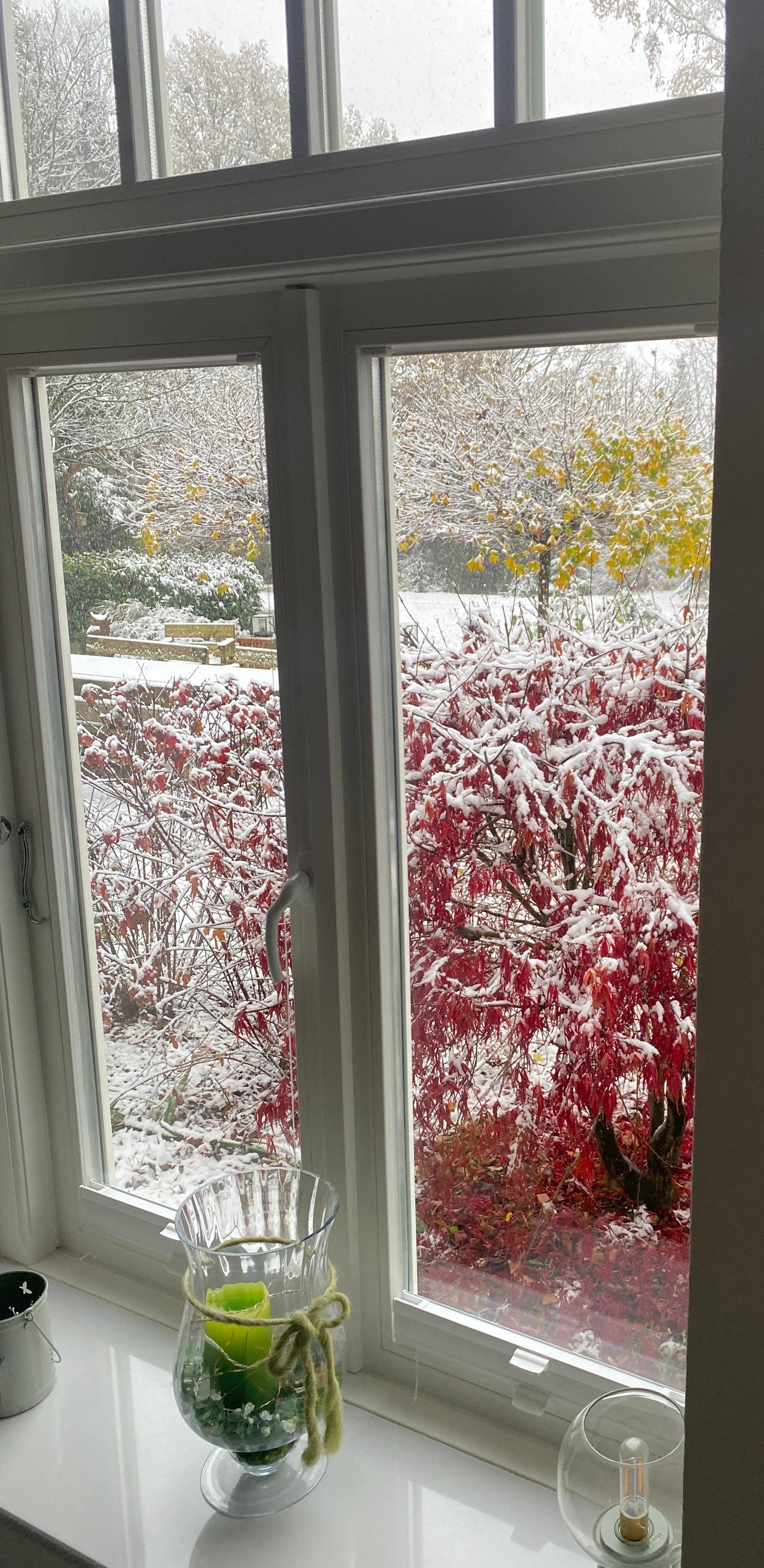 Blick aus dem Wohnzimmer bei Schnee.