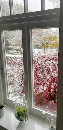 Blick aus dem Wohnzimmer bei Schnee.