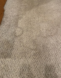 Filthy carpet