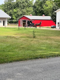 Many horse/buggies passing by