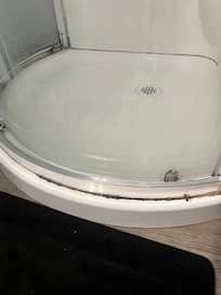 Mold in shower