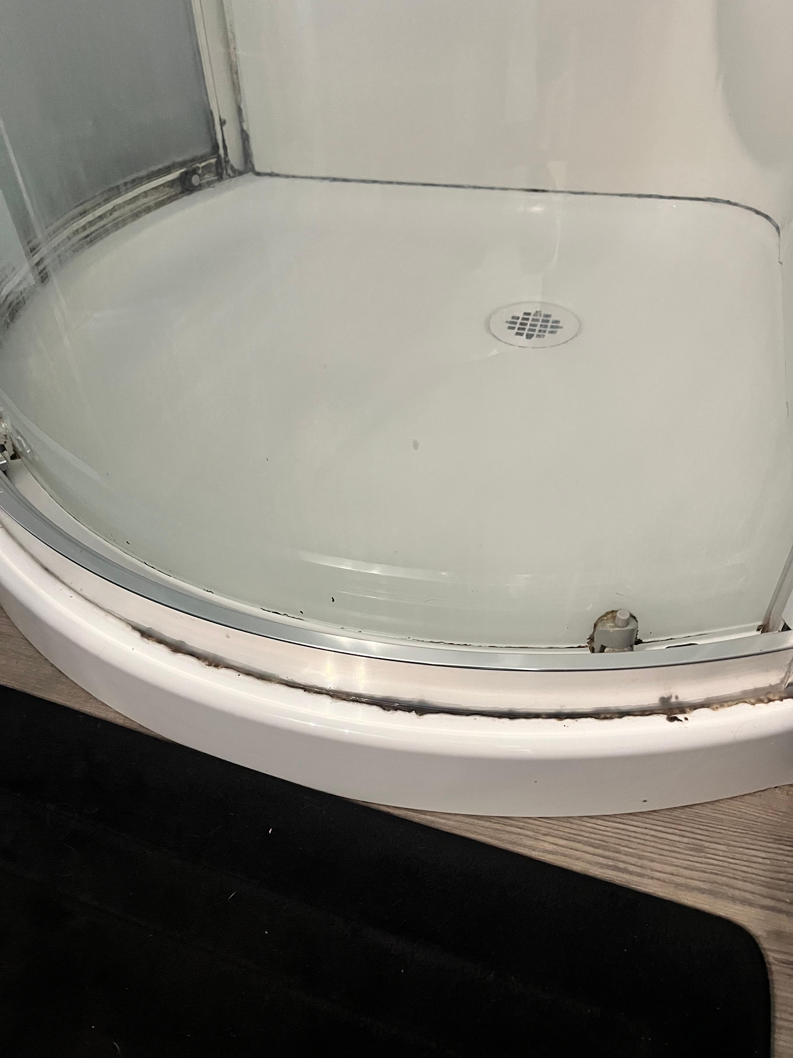 Mold in shower