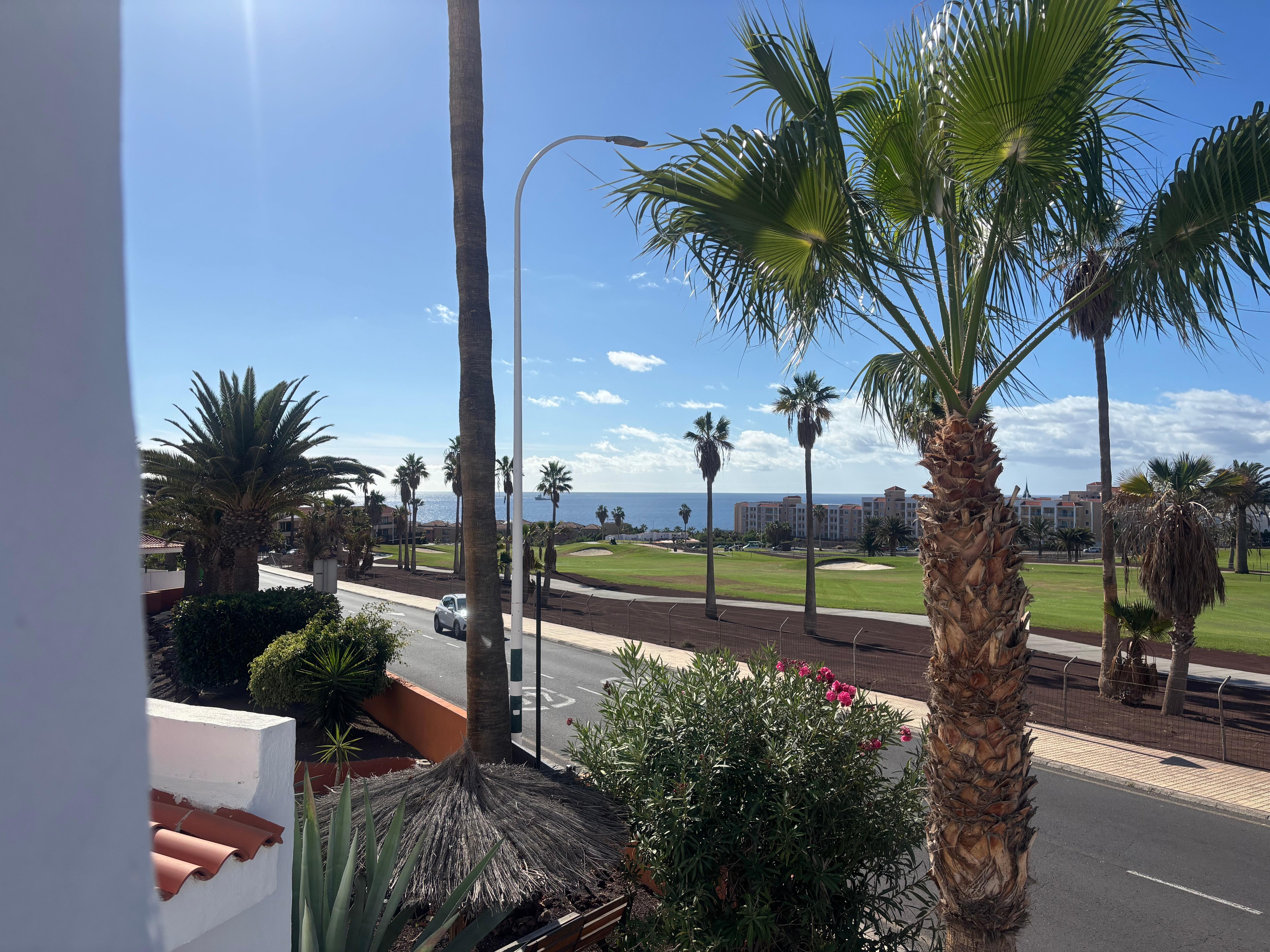 On the apartment steps