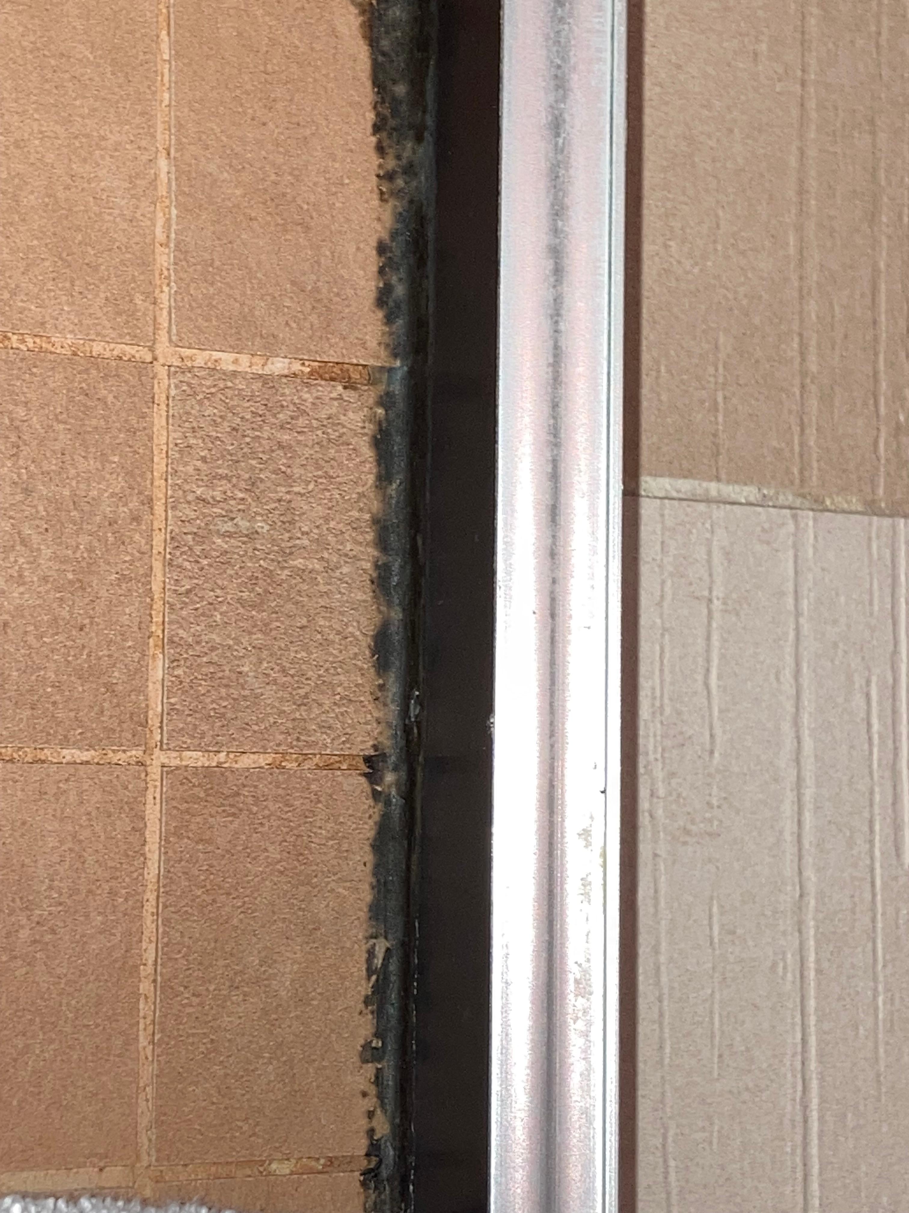 Mould in the shower