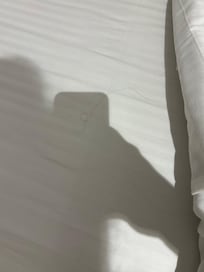 Hairs found in the bed