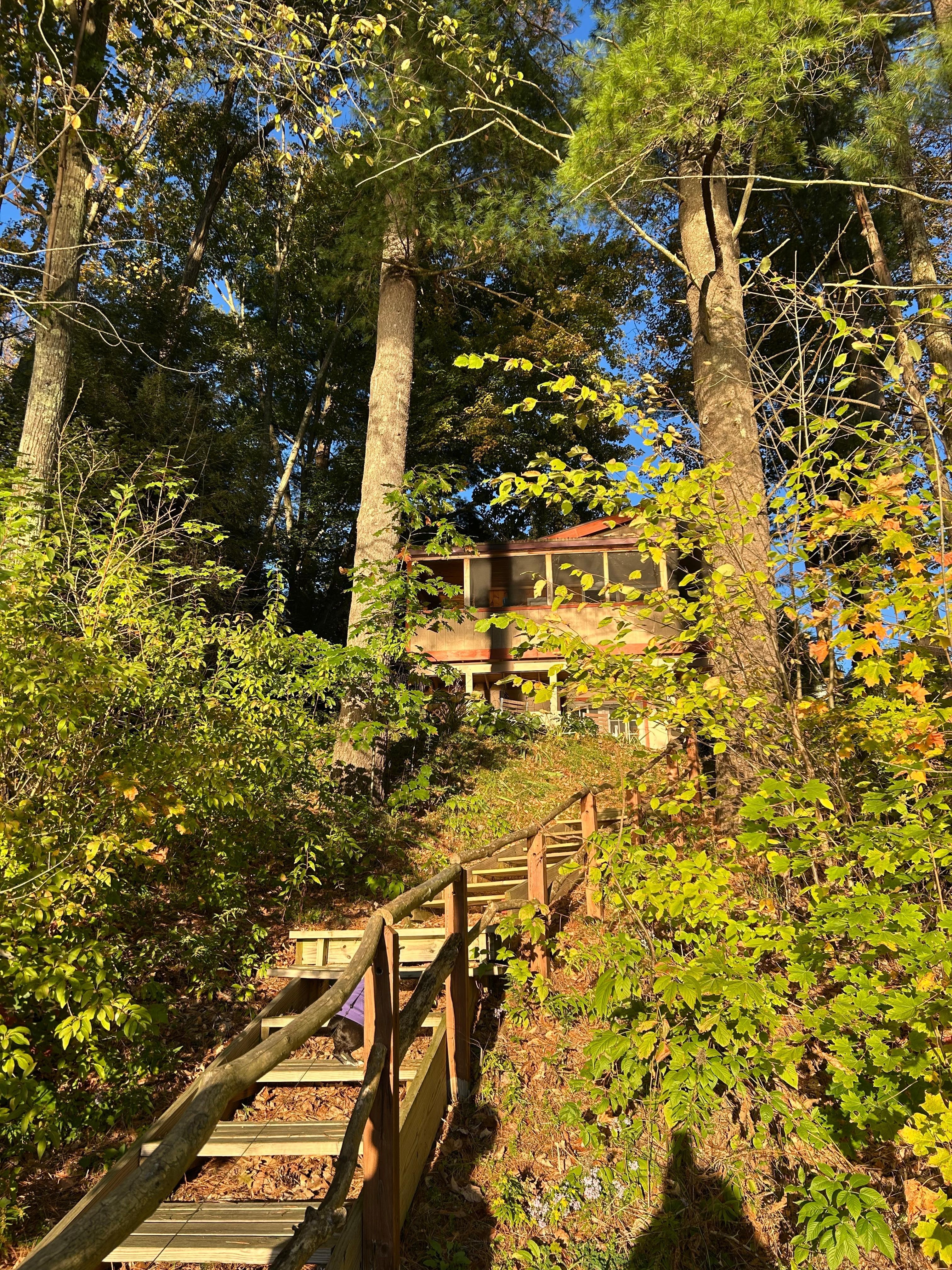 View from dock looking up at the house