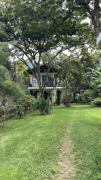 View of the treehouse walking back from the dock