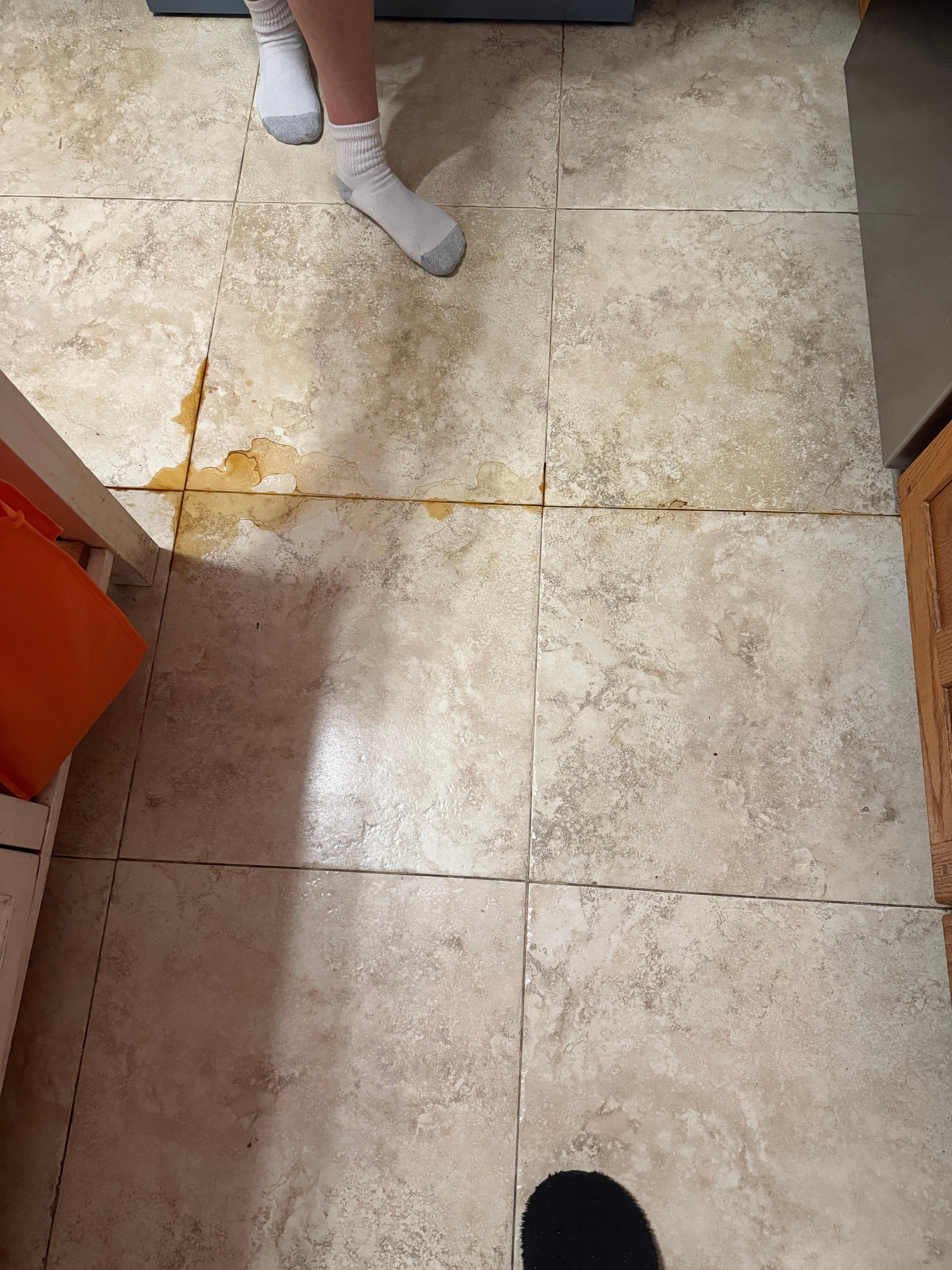 The disgusting smelling water leaking from under the sink and dishwasher. 