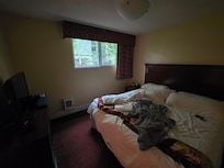 The openable windows were nice, don't see fresh air options that often in major hotels these days