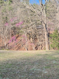 The cabin back porch is barely visible from the main road.