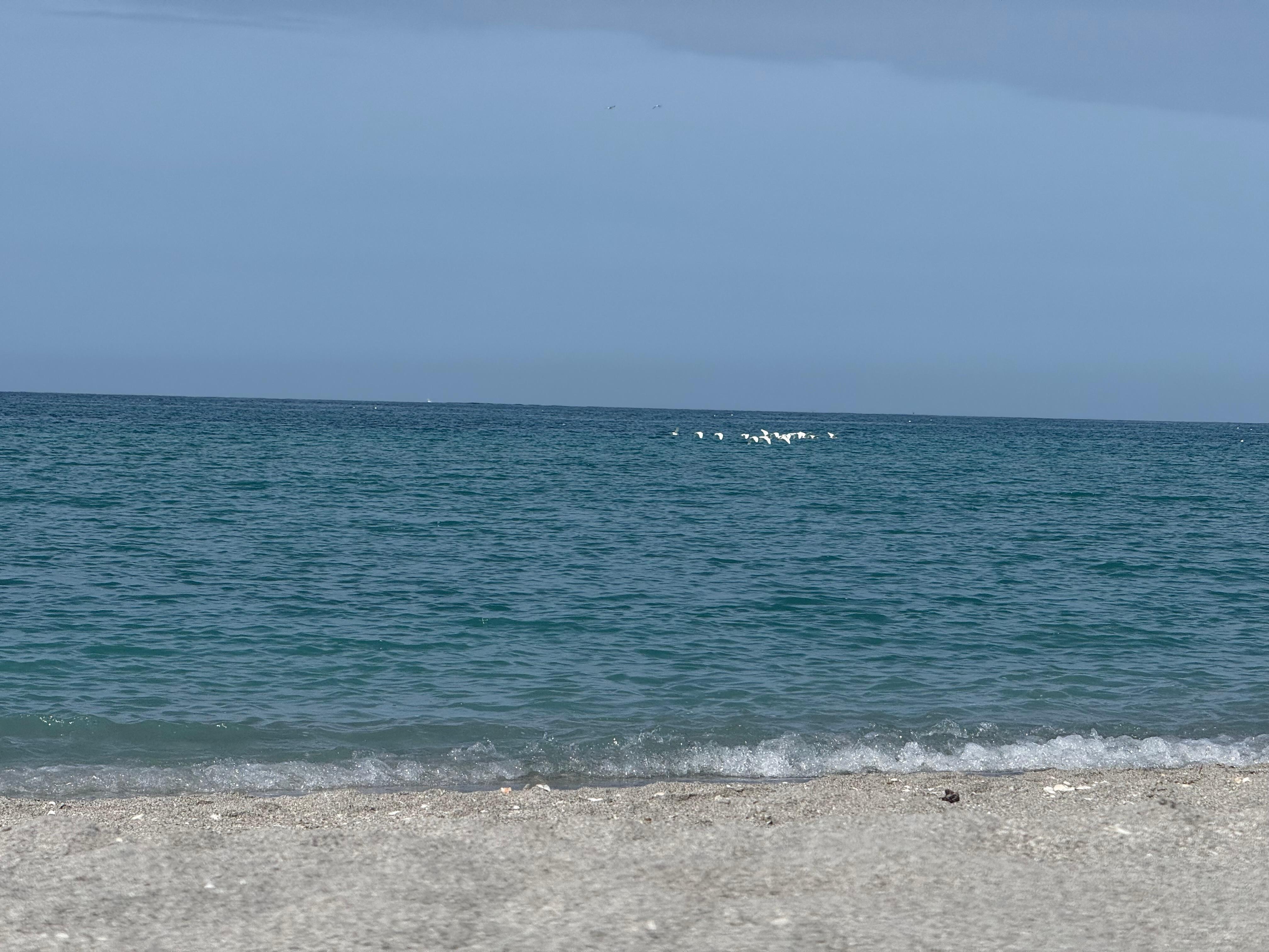 Beach day, peaceful & uncrowded. 