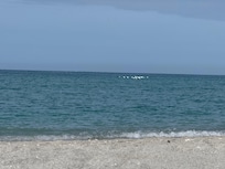 Beach day, peaceful & uncrowded.