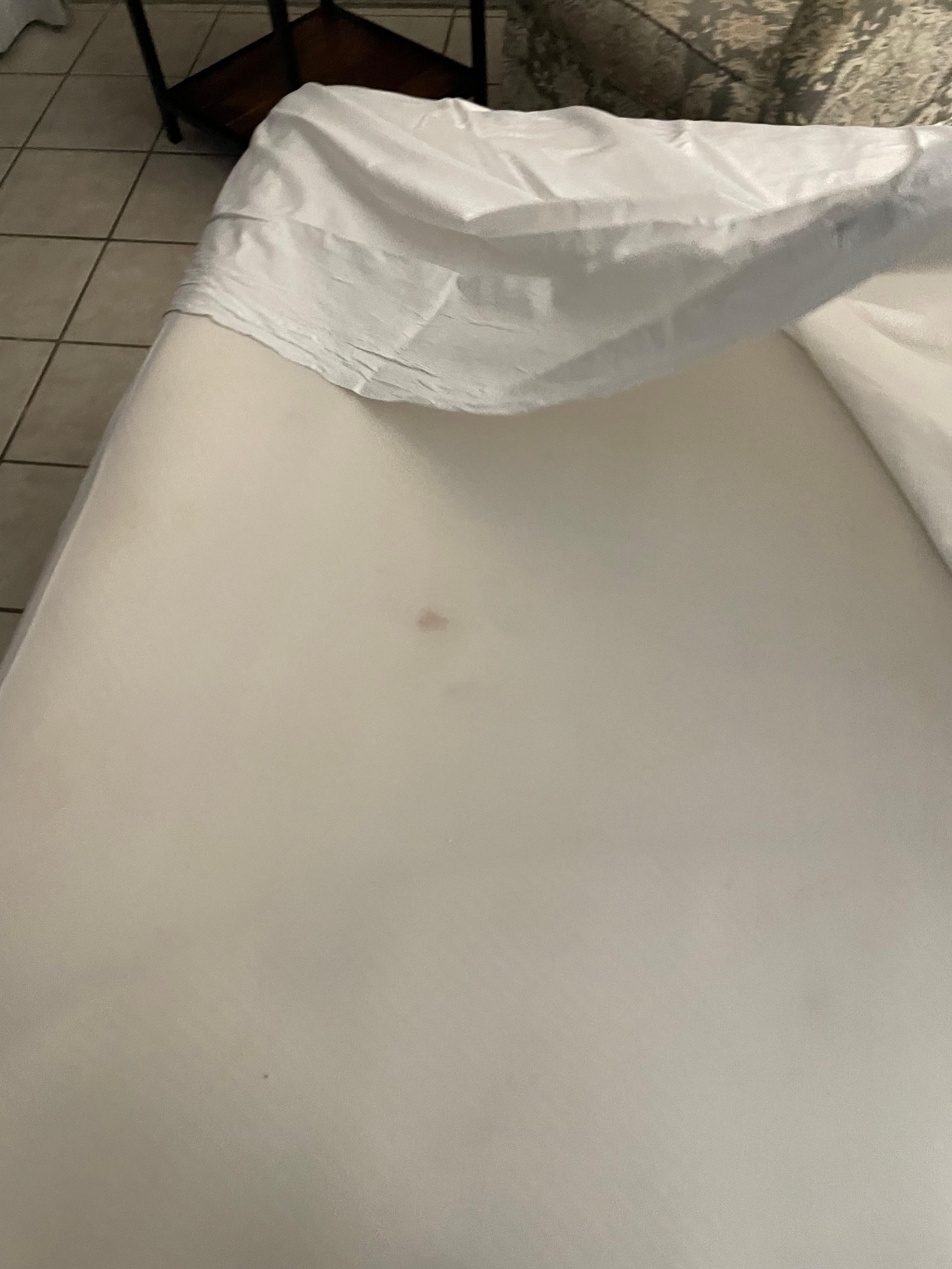 Pull out cushion we had to cover with sheets. 