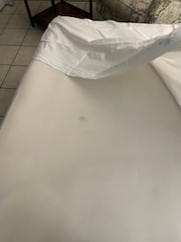 Pull out cushion we had to cover with sheets.