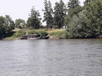 Balade en bateau sur la Loire / Depart de Saumur
A faire