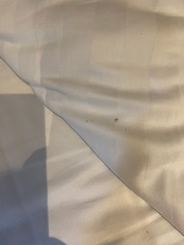 Bed bug black marks on sheets
