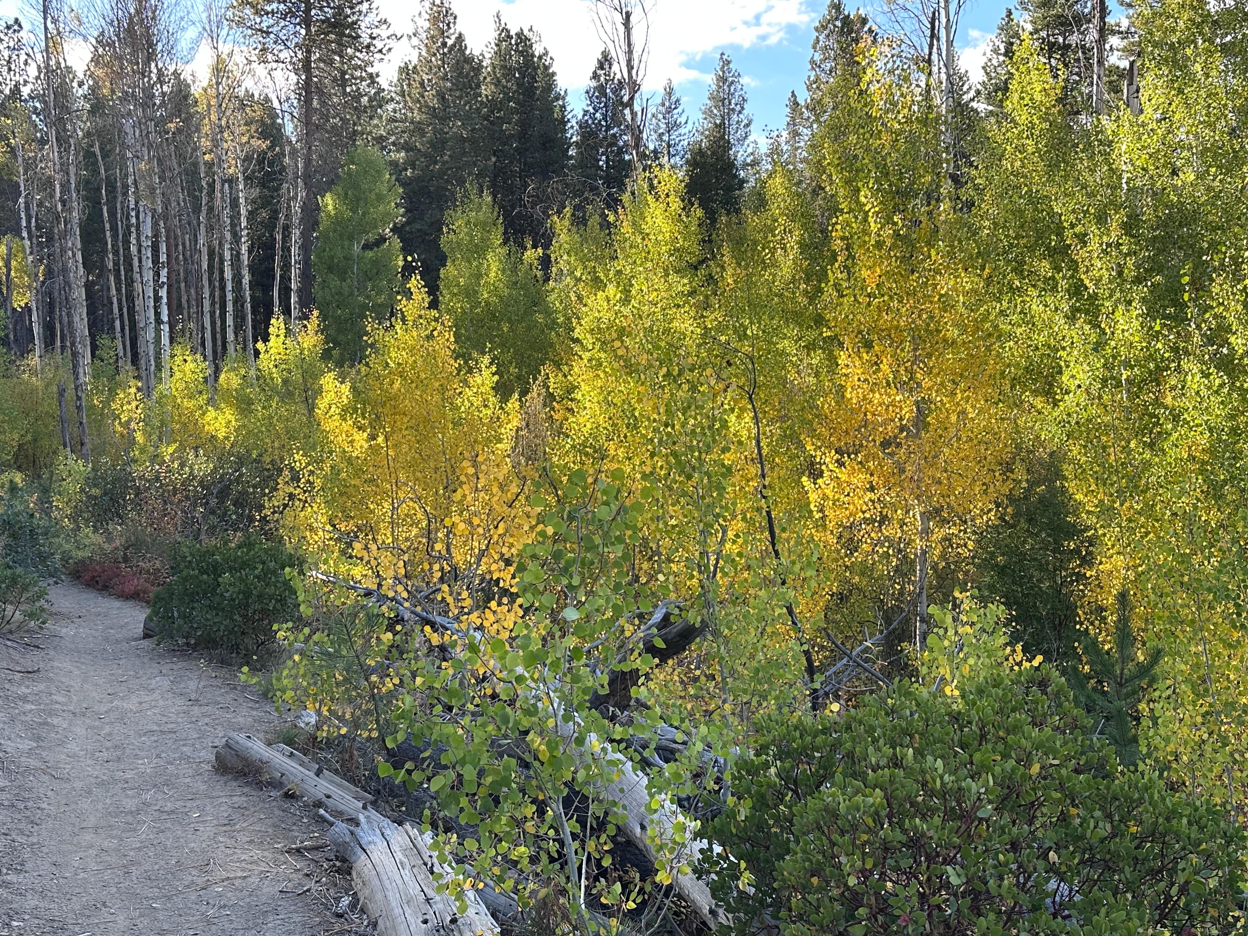 Deschutes River Trail
