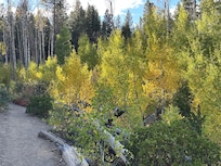 Deschutes River Trail