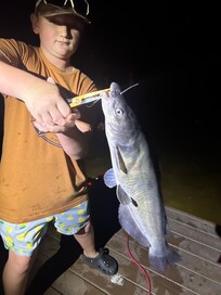 Grandson caught a lot of fish!