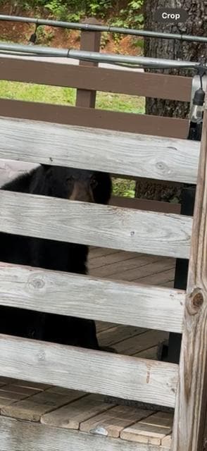 mamma watching us