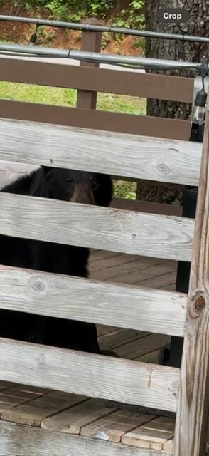 mamma watching us