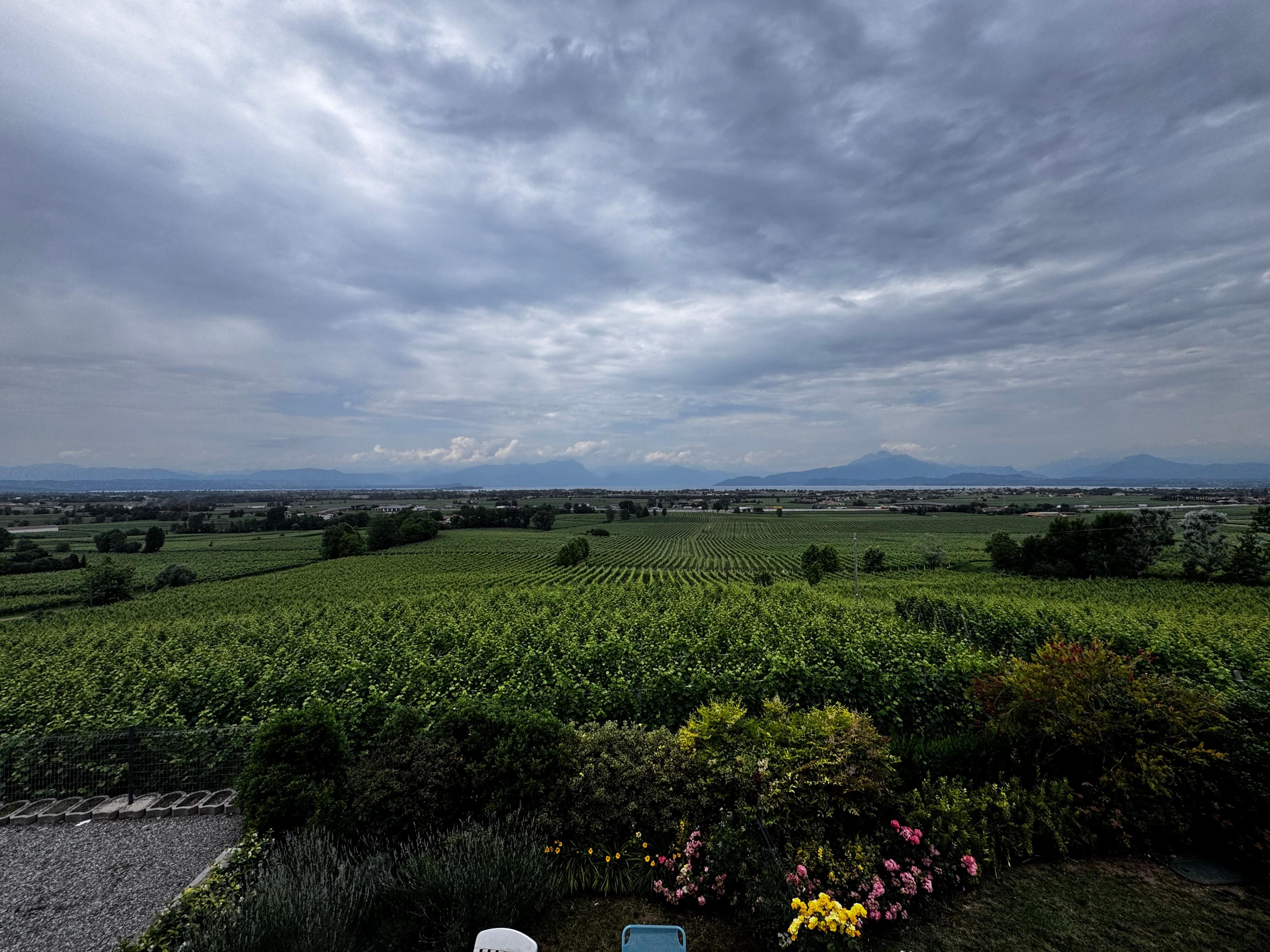 View to the lake