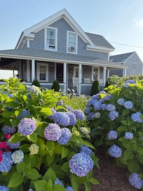 Classic New England cottage - so beautiful.