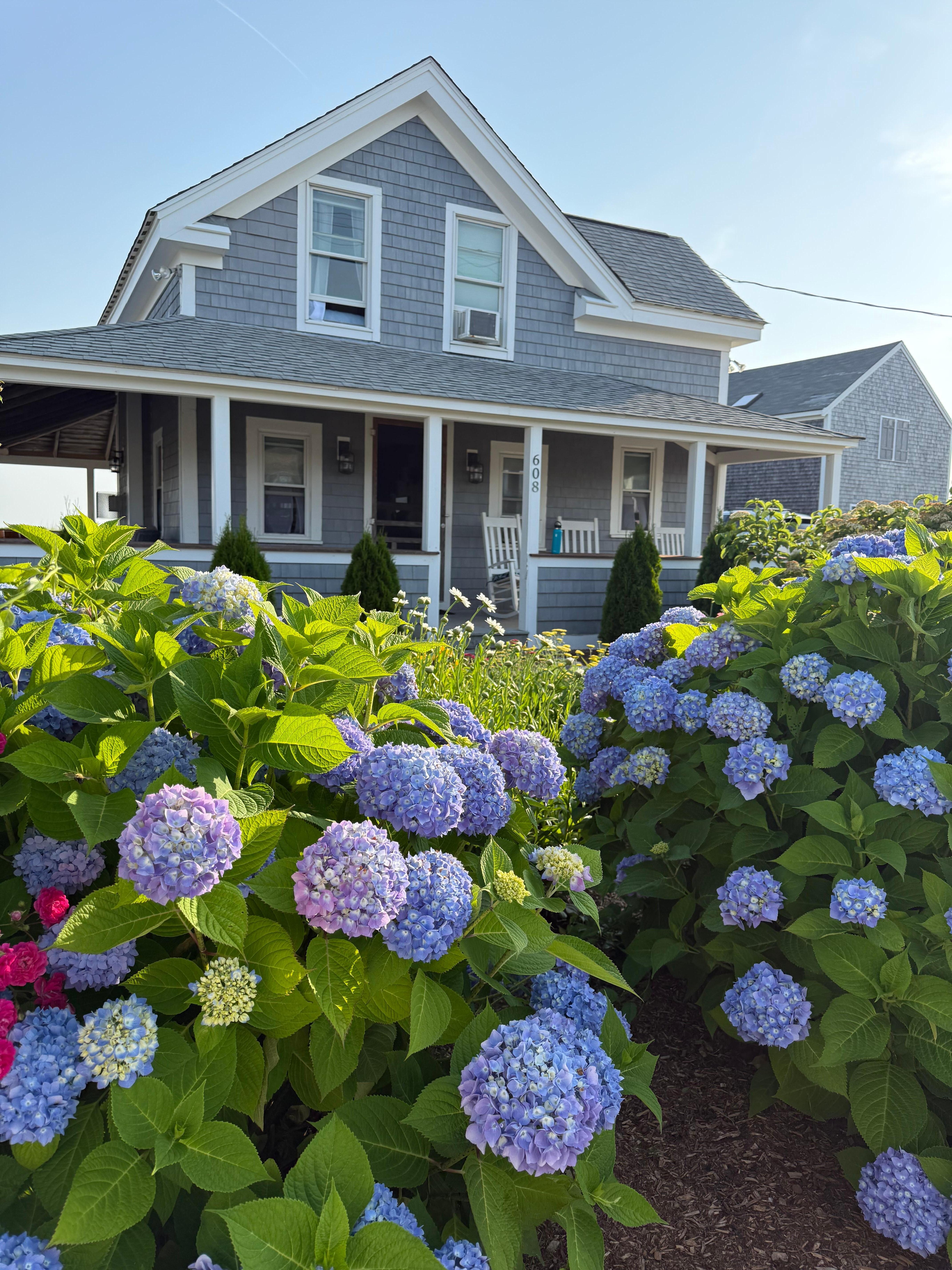 Classic New England cottage - so beautiful. 