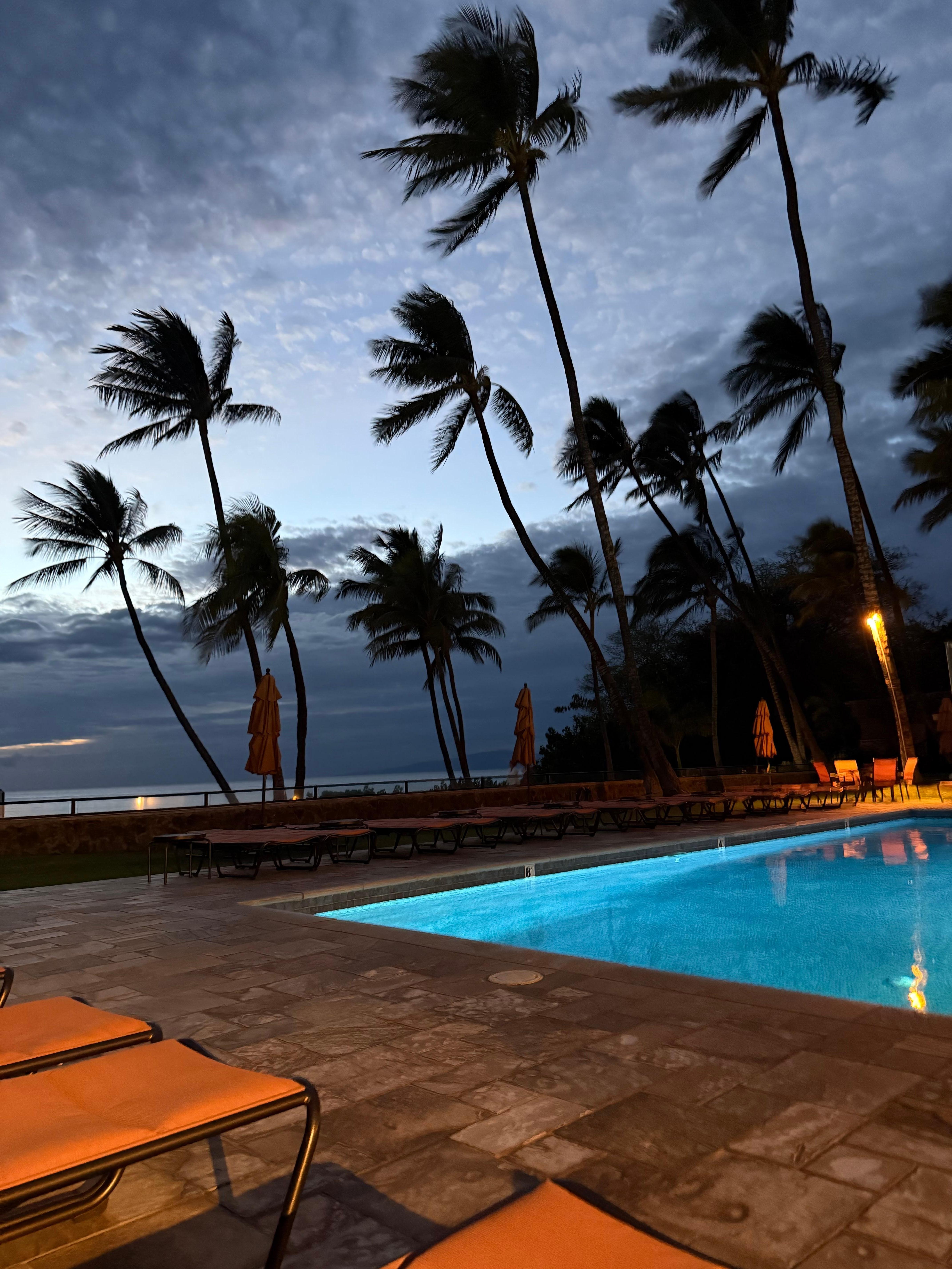 Lovely, beachfront pool