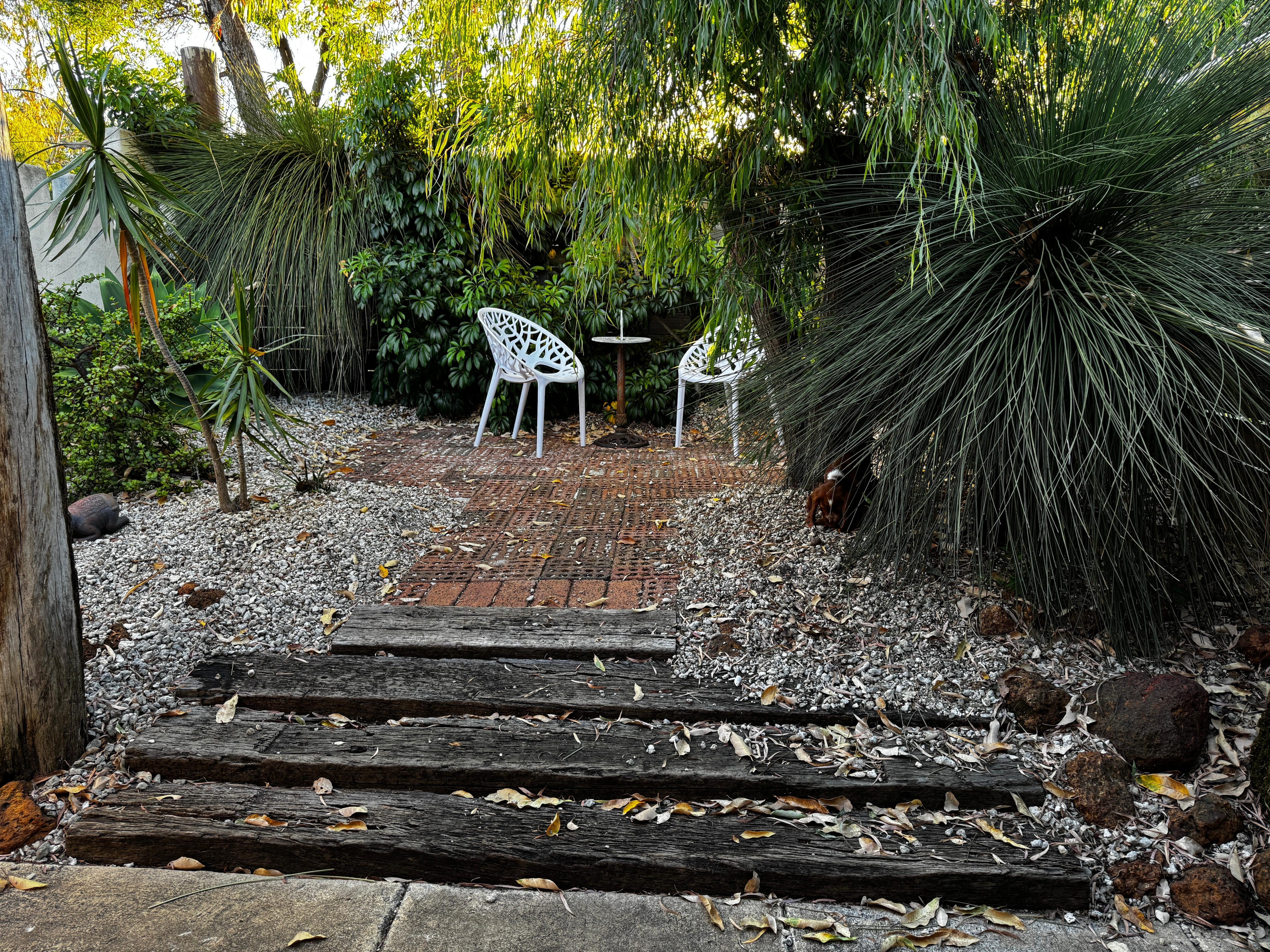 Small courtyard for the dogs and us 