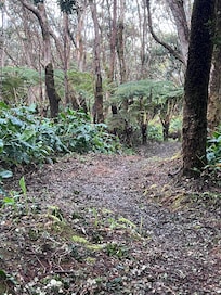 Beautiful walking path on the lodge grounds