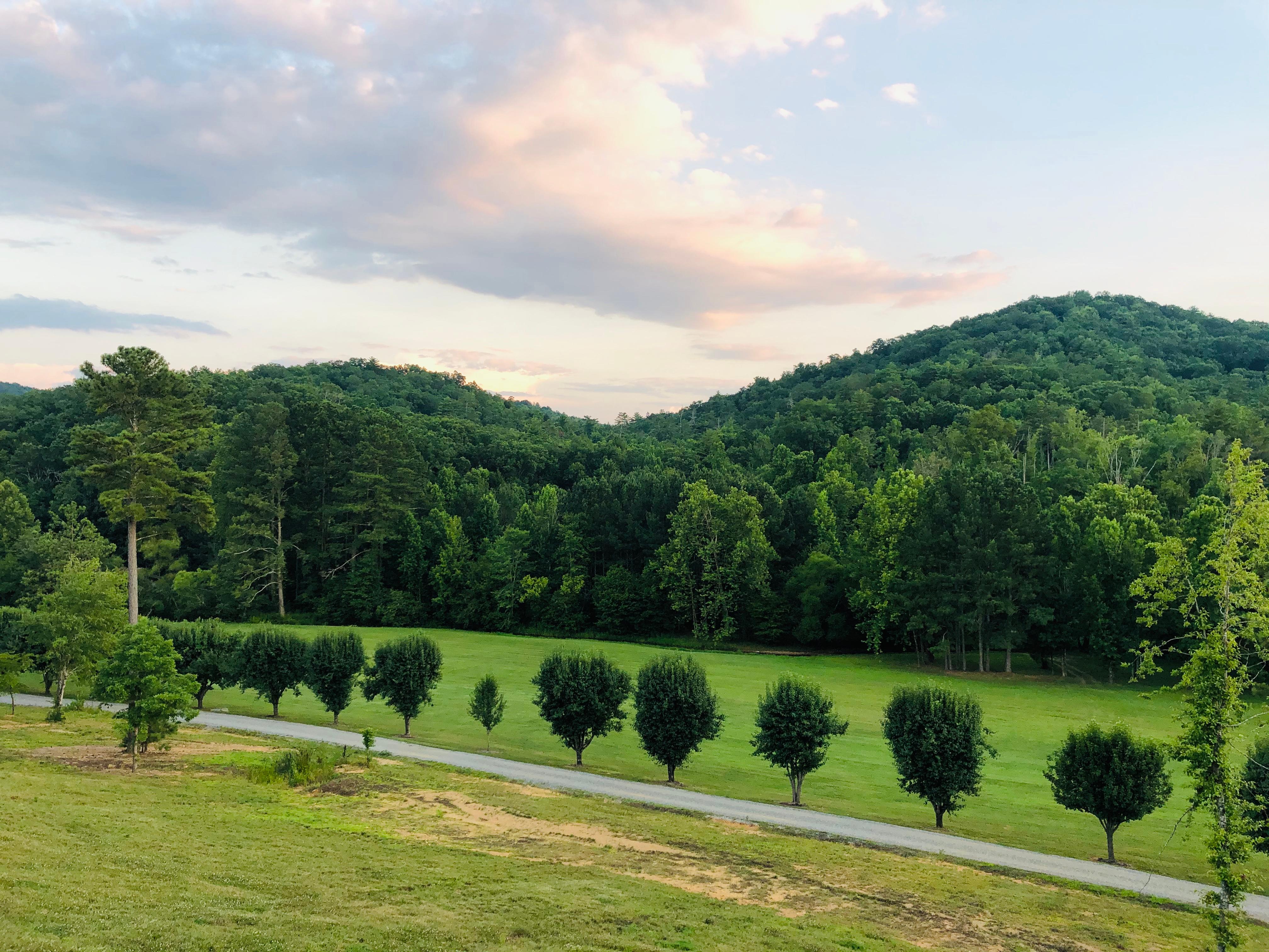 View from back patio/deck