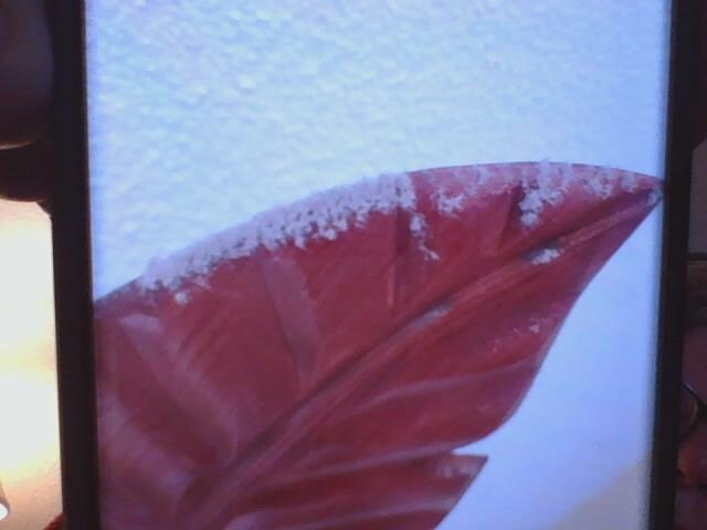 Above master bedroom bed.