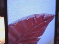 Above master bedroom bed.