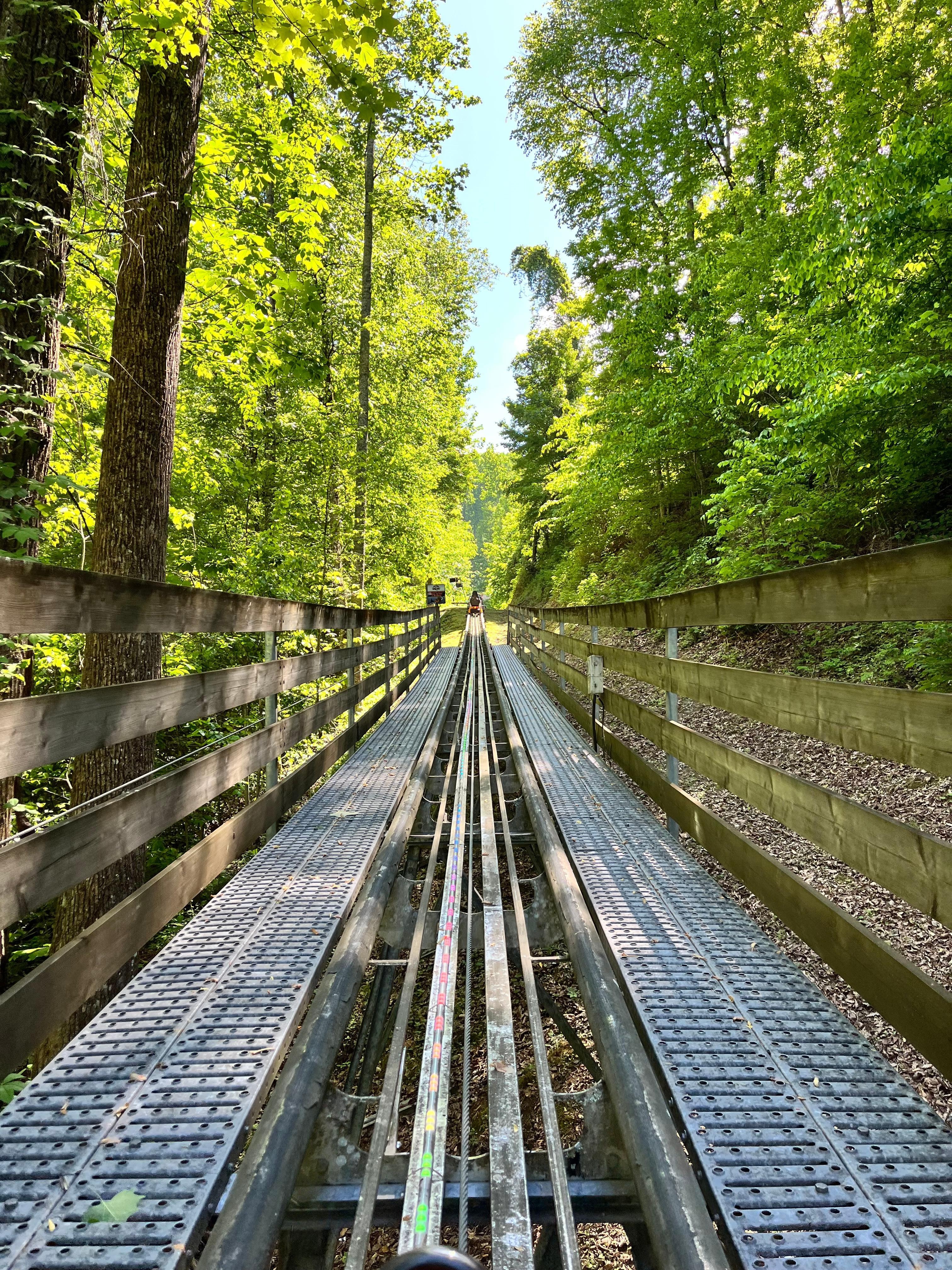 Mountain coaster was super close