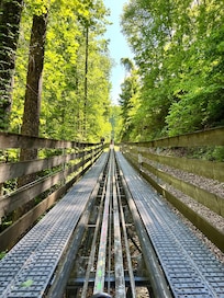Mountain coaster was super close