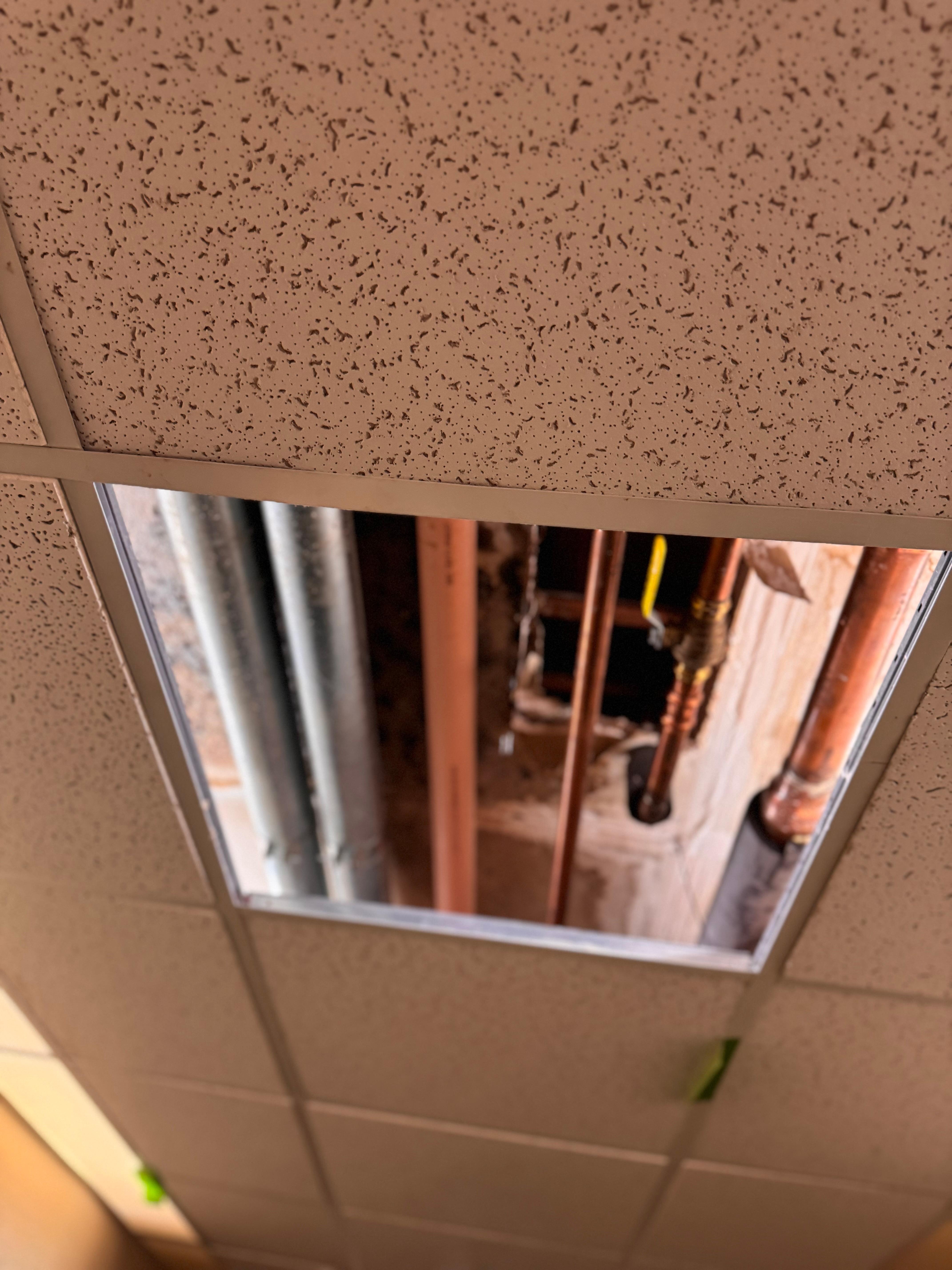 Leak in ceiling with visible mold