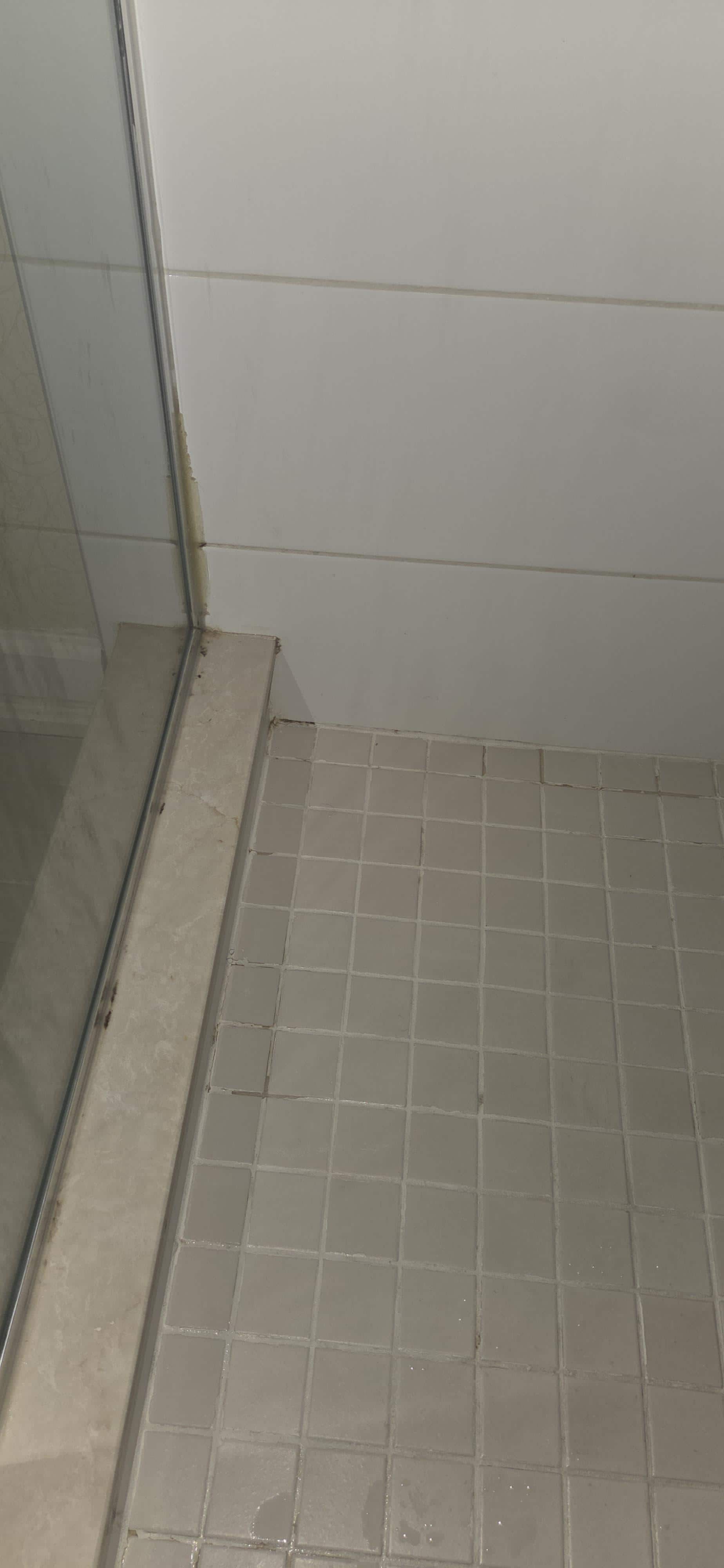 Potential mold in bathroom. 