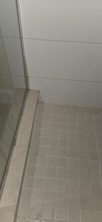 Potential mold in bathroom.