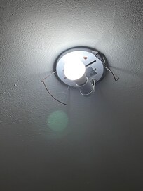 Bald light fixture
