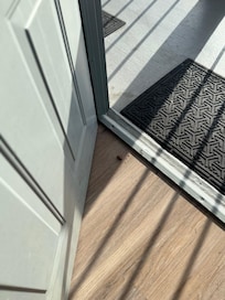 Roach in doorway