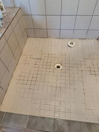Moldy shower