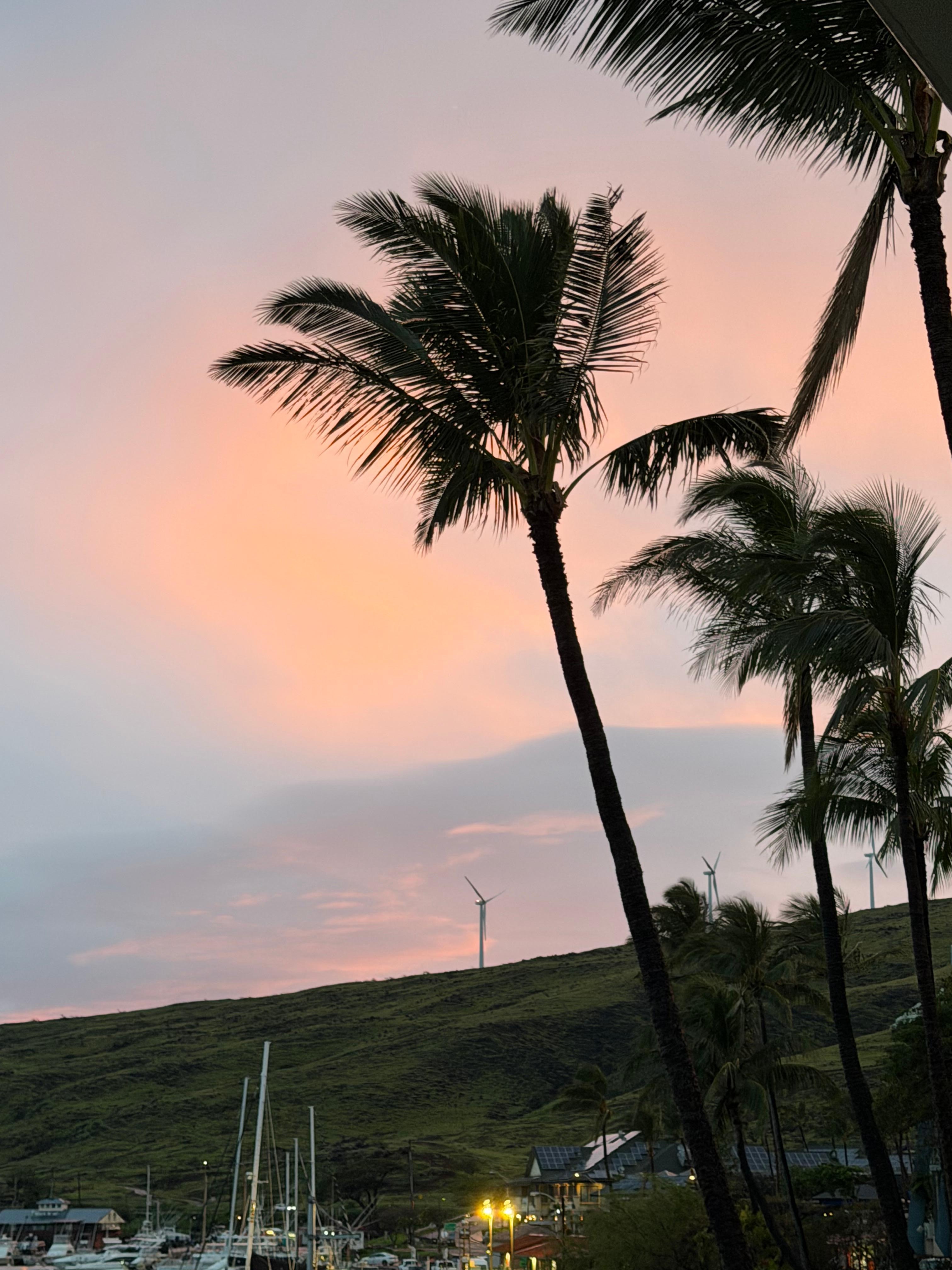 We didn’t get much sun. This was the only sunset we saw. 