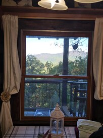 Dining table window beside back door.