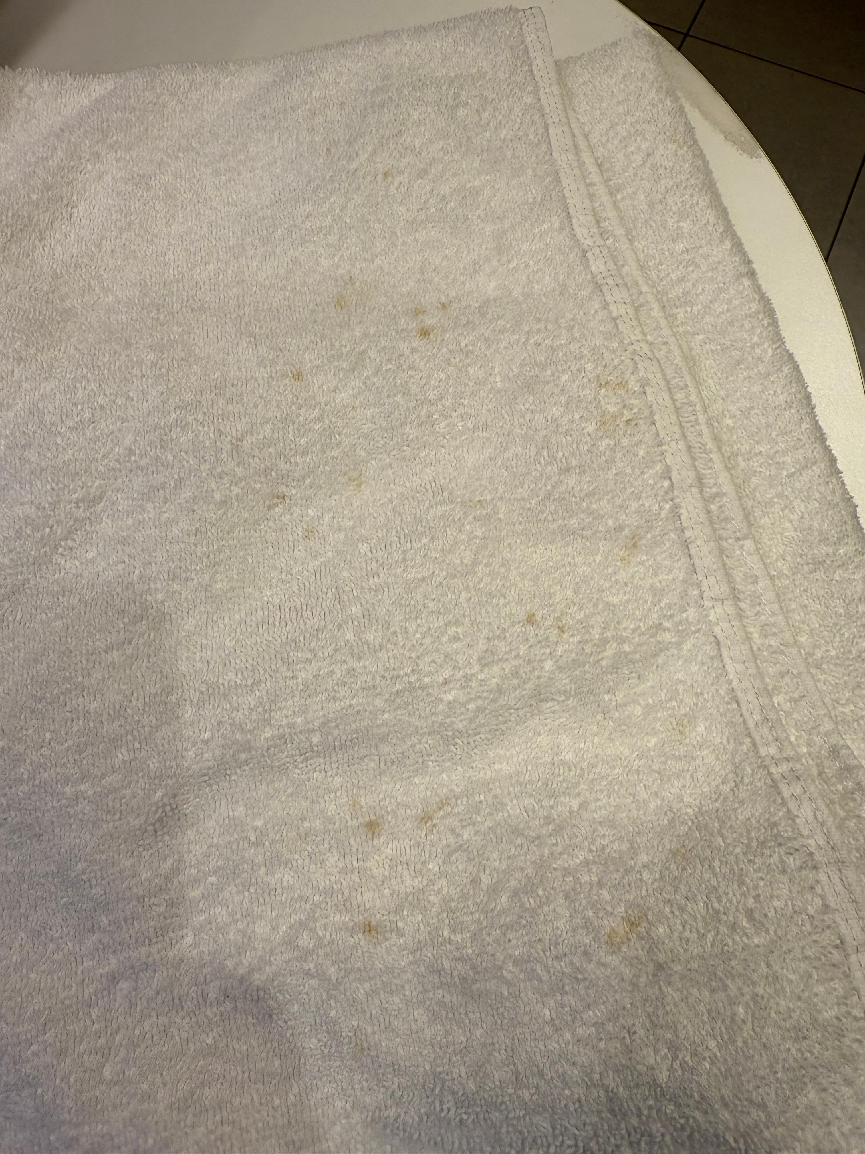 The gross stuff on our towels