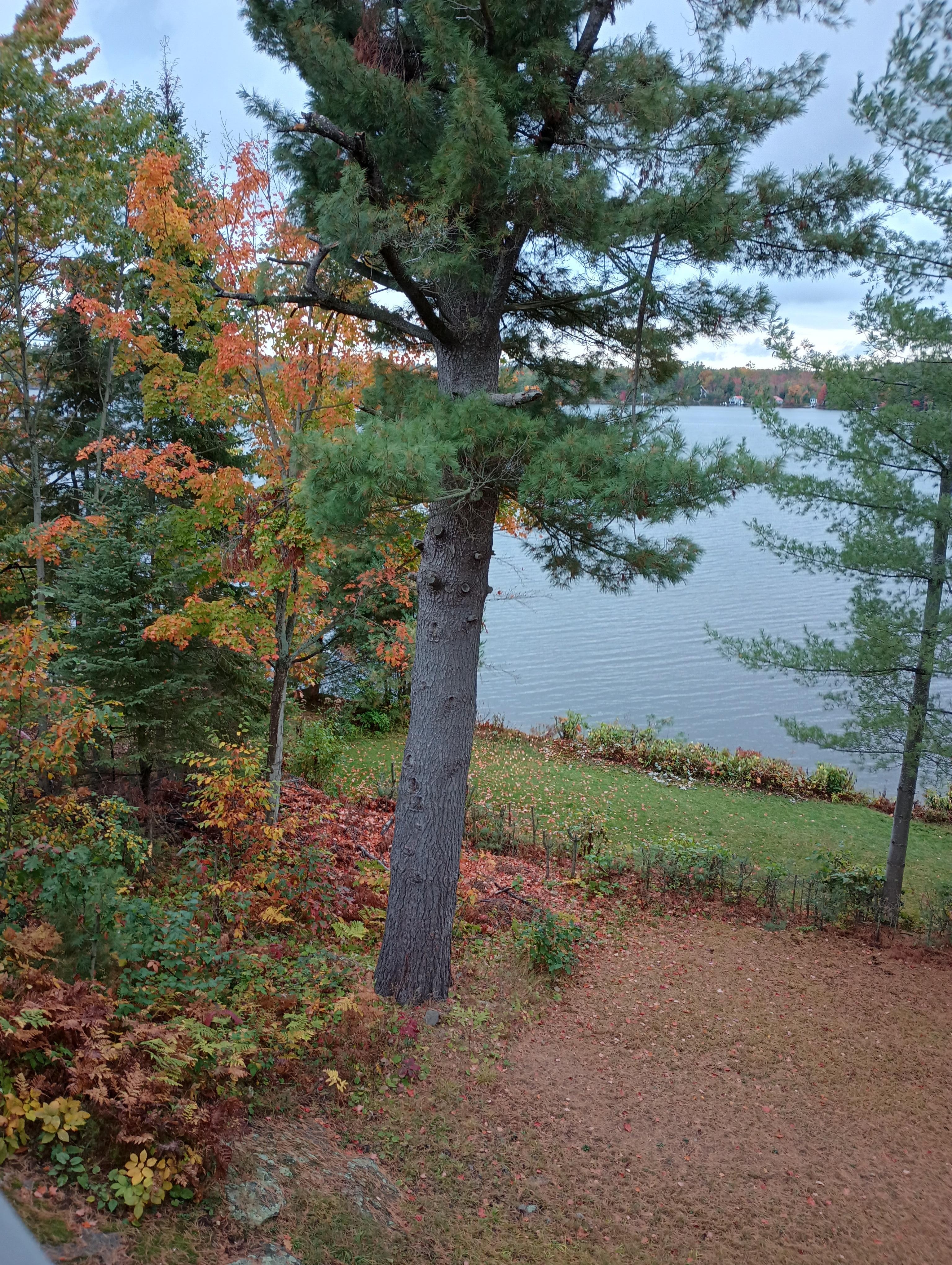 View from our window